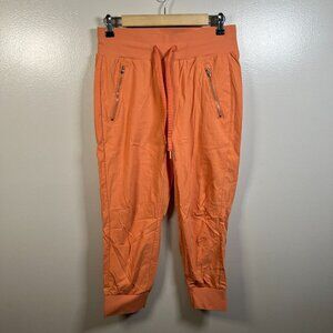 Athleta Trekkie North Crop Jogger Pants Size 4 Orange Travel Hiking Athletic